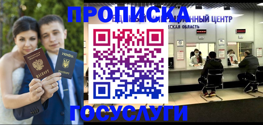 прописка штамп в Шилке